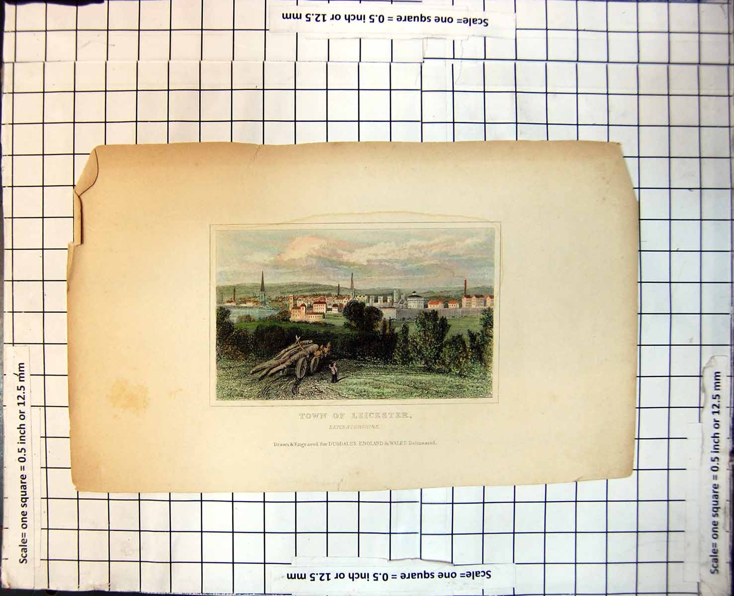 Old Town Leicester Leicestershire Horses Wagon Tree Trunks Buildings 366J