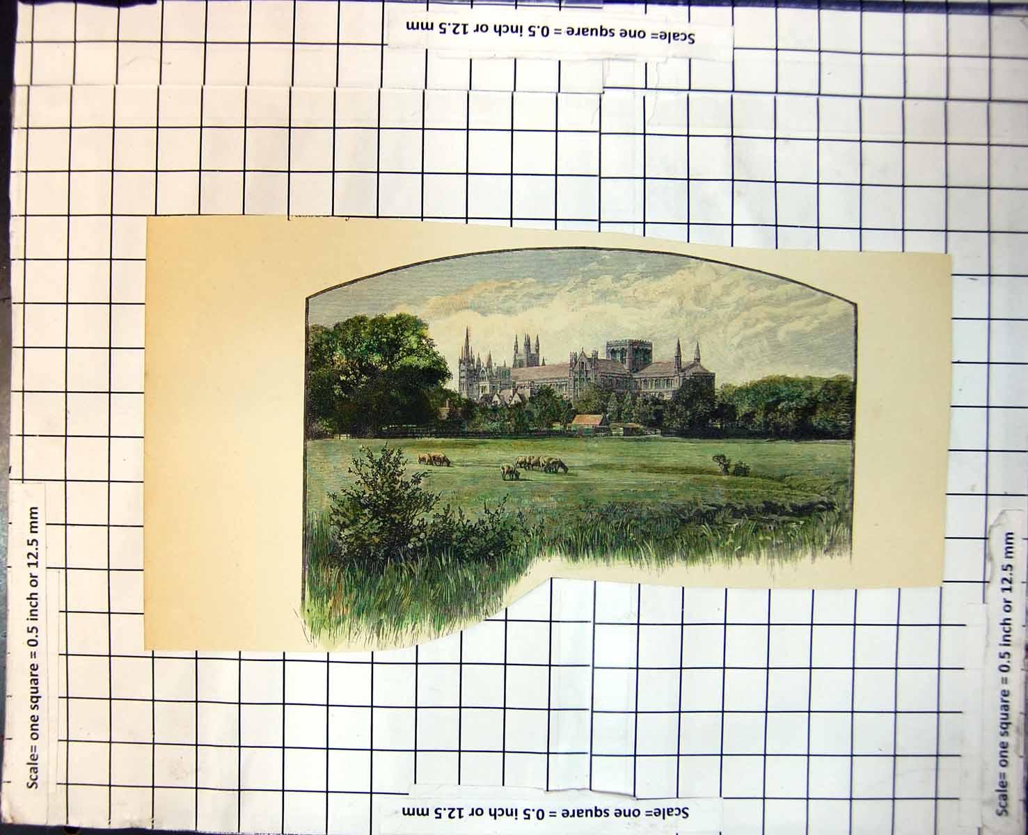 Old Cathedral From Across Fields Grazing Cattle Houses Trees Grass 399J