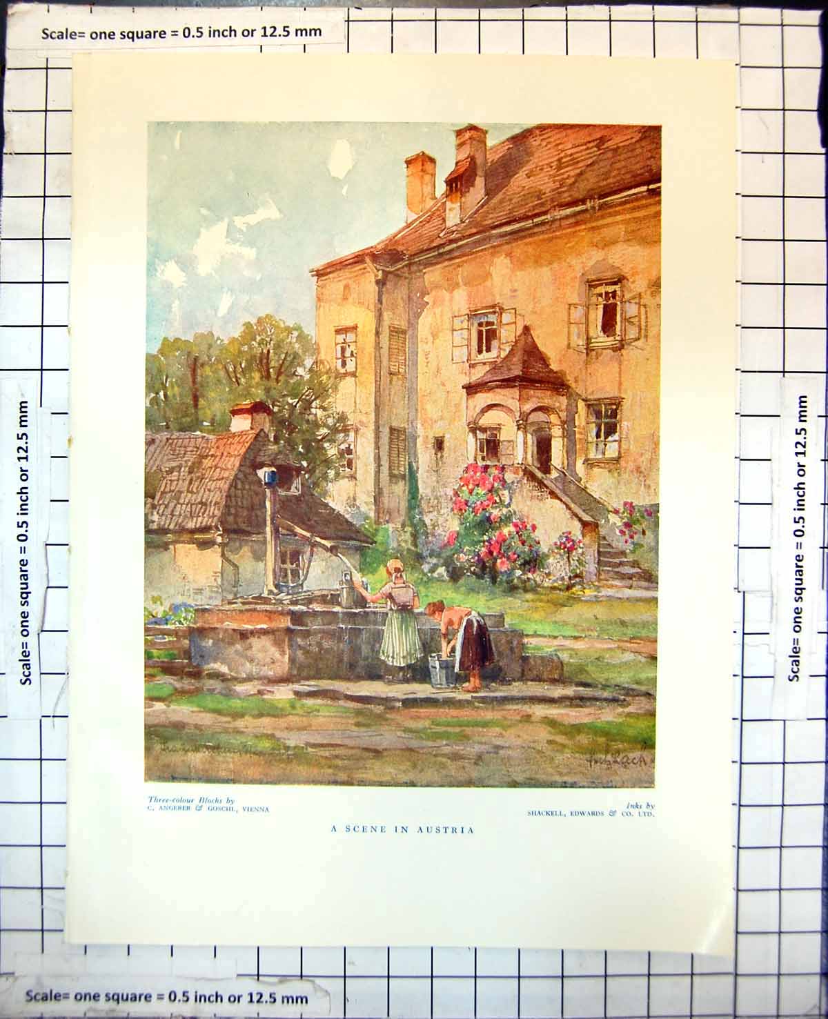Old Scene Austria Filling Buckets Pump House Shutters Flowers 1928 421J 20th