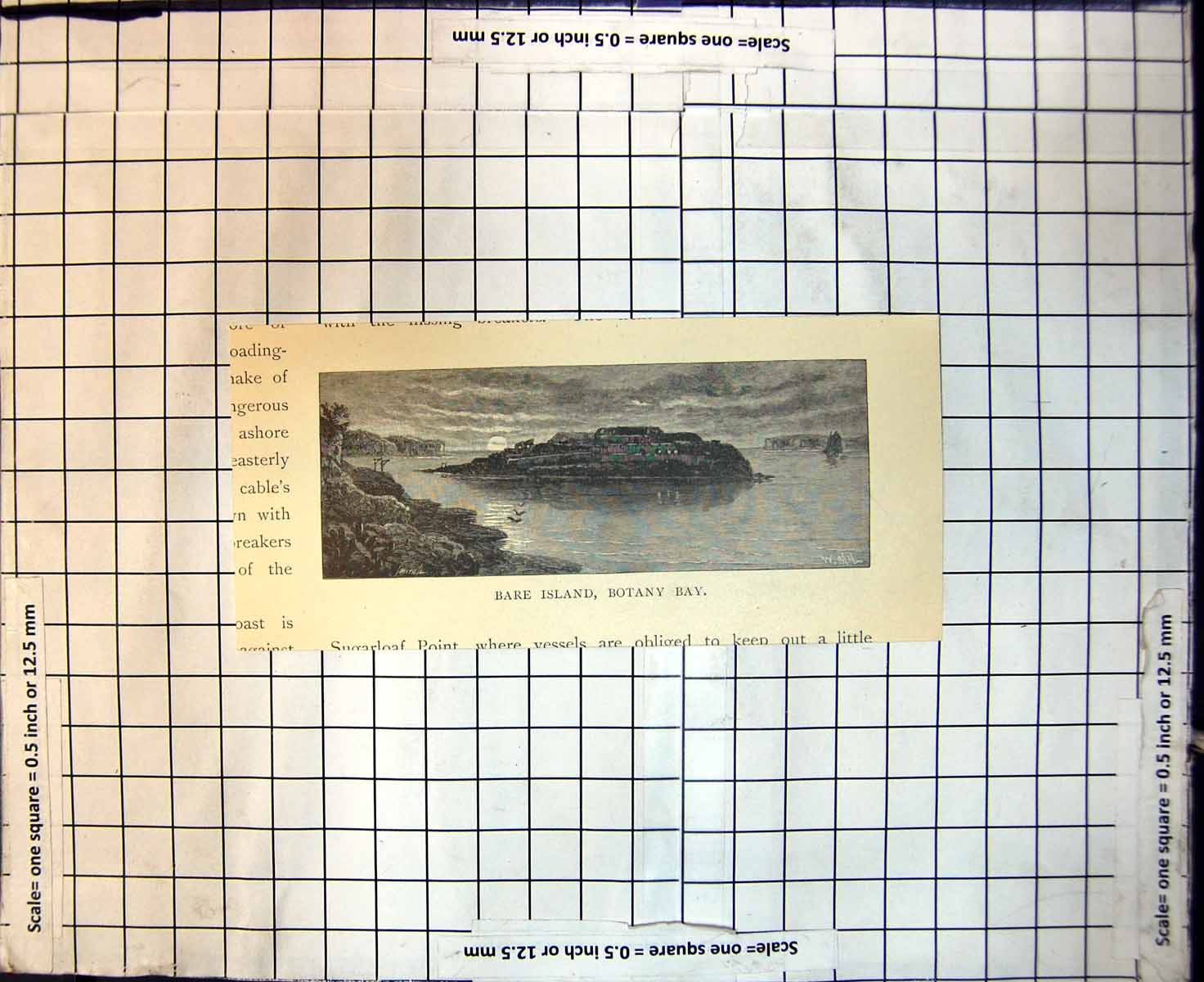 Original Old Antique Print Bare Island Botany Bay 1886 19th Century