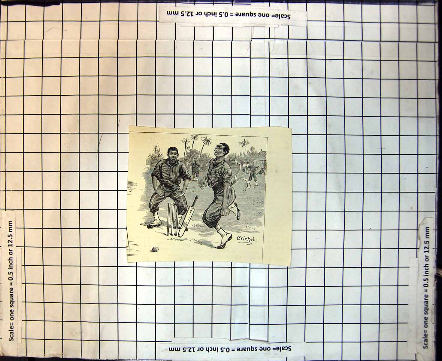 Original Old Antique Print Cricket Natives Hurt Leg Batting Ball Palm Trees