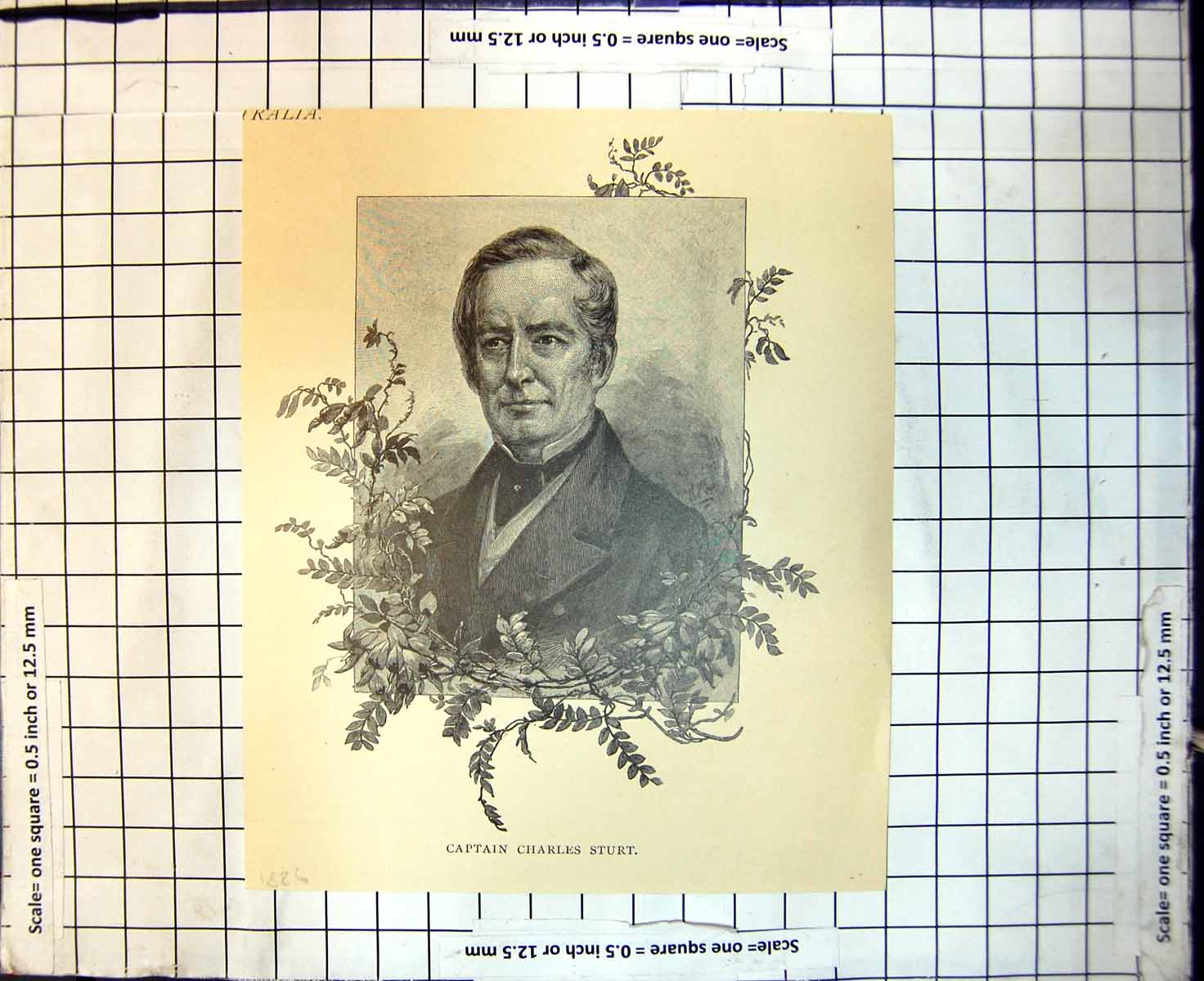 Original Old Antique Print Captain Charles Sturt 1886 19th Century