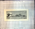 Original Old Antique Print Looking Towards Naples From Ischia Vesuvius