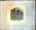 Original Old Antique Print Church England Paterson New South Wales 1886 19th