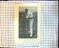Original Old Antique Print Cricket T Hayward In The Attitude For The On Drive