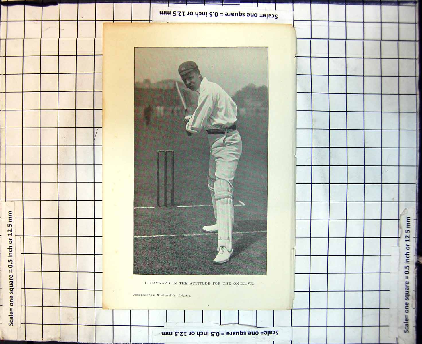 Original Old Antique Print Cricket T Hayward In The Attitude For The On Drive