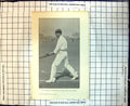 Original Old Antique Print Cricket W Marlows Forward Cut With Left Leg Across
