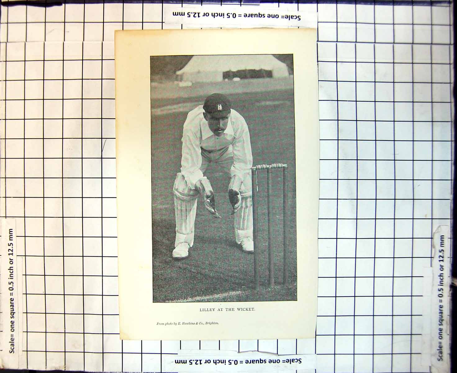 Original Old Antique Print Cricket Lilley At The Wicket