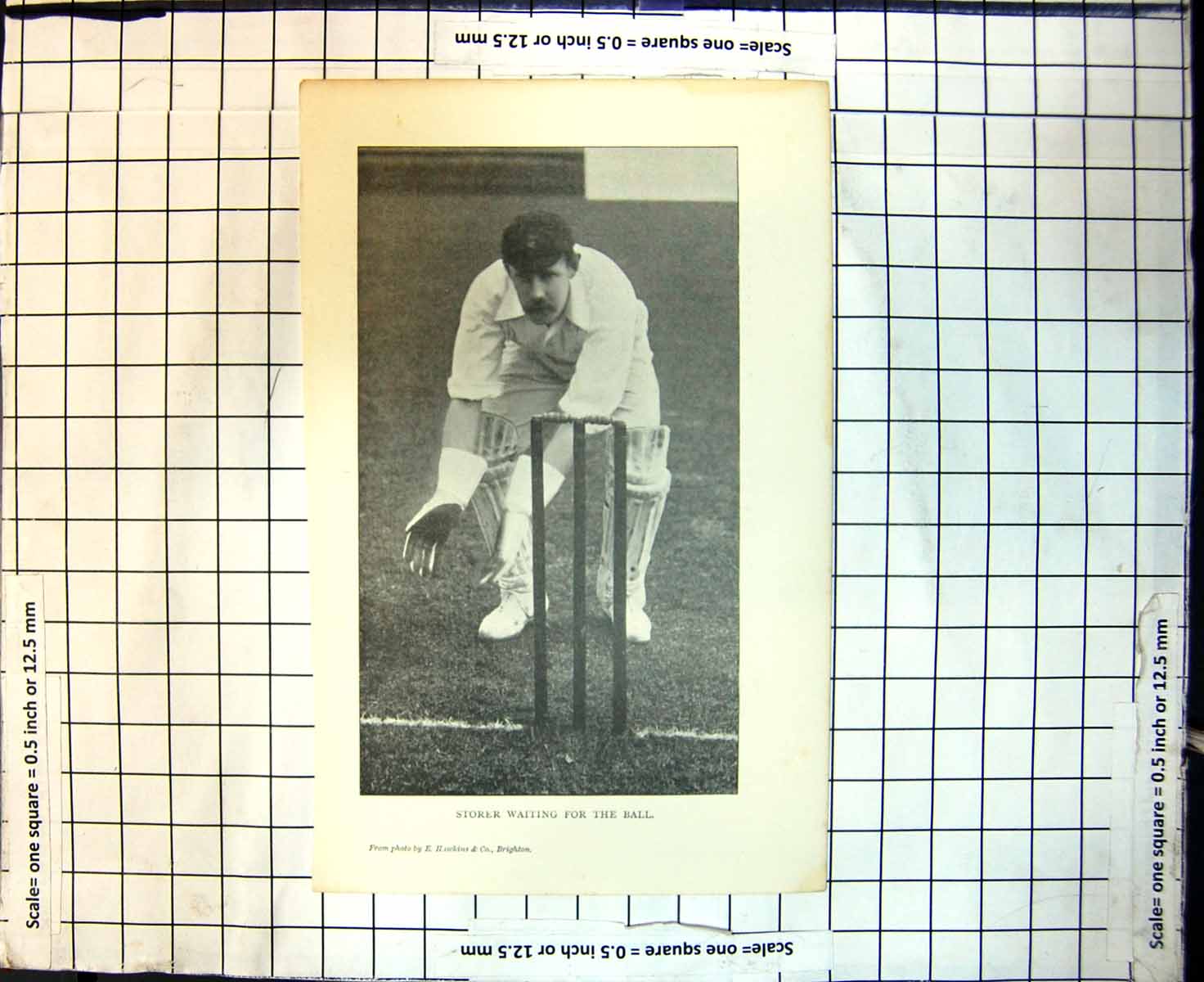 Original Old Antique Print Cricket Storer Waiting For The Ball