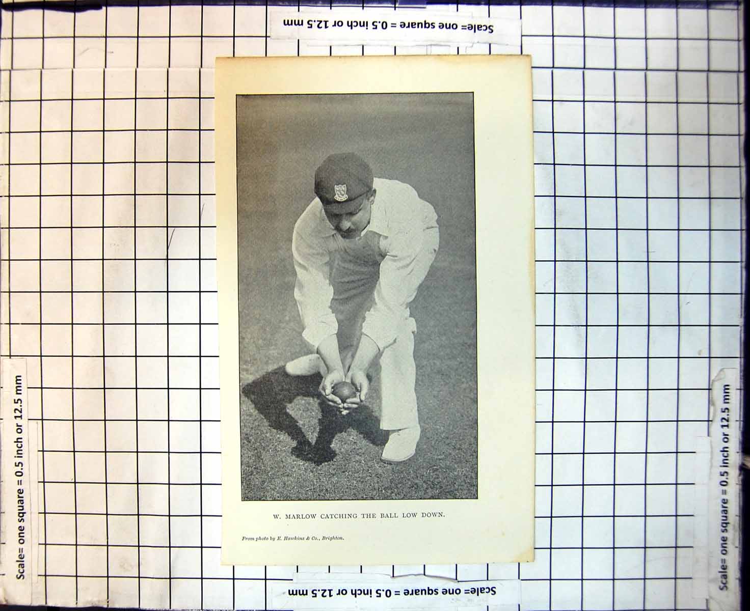 Original Old Antique Print Cricket W Marlow Catching The Ball Low Down