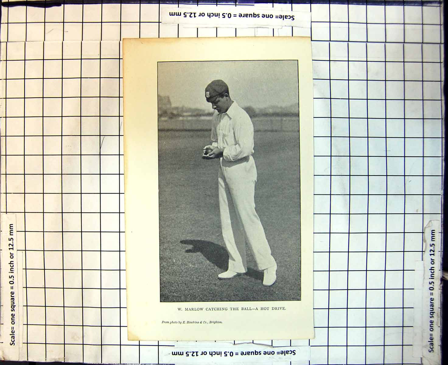 Original Old Antique Print Cricket W Marlow Catching The Ball A Hot Drive