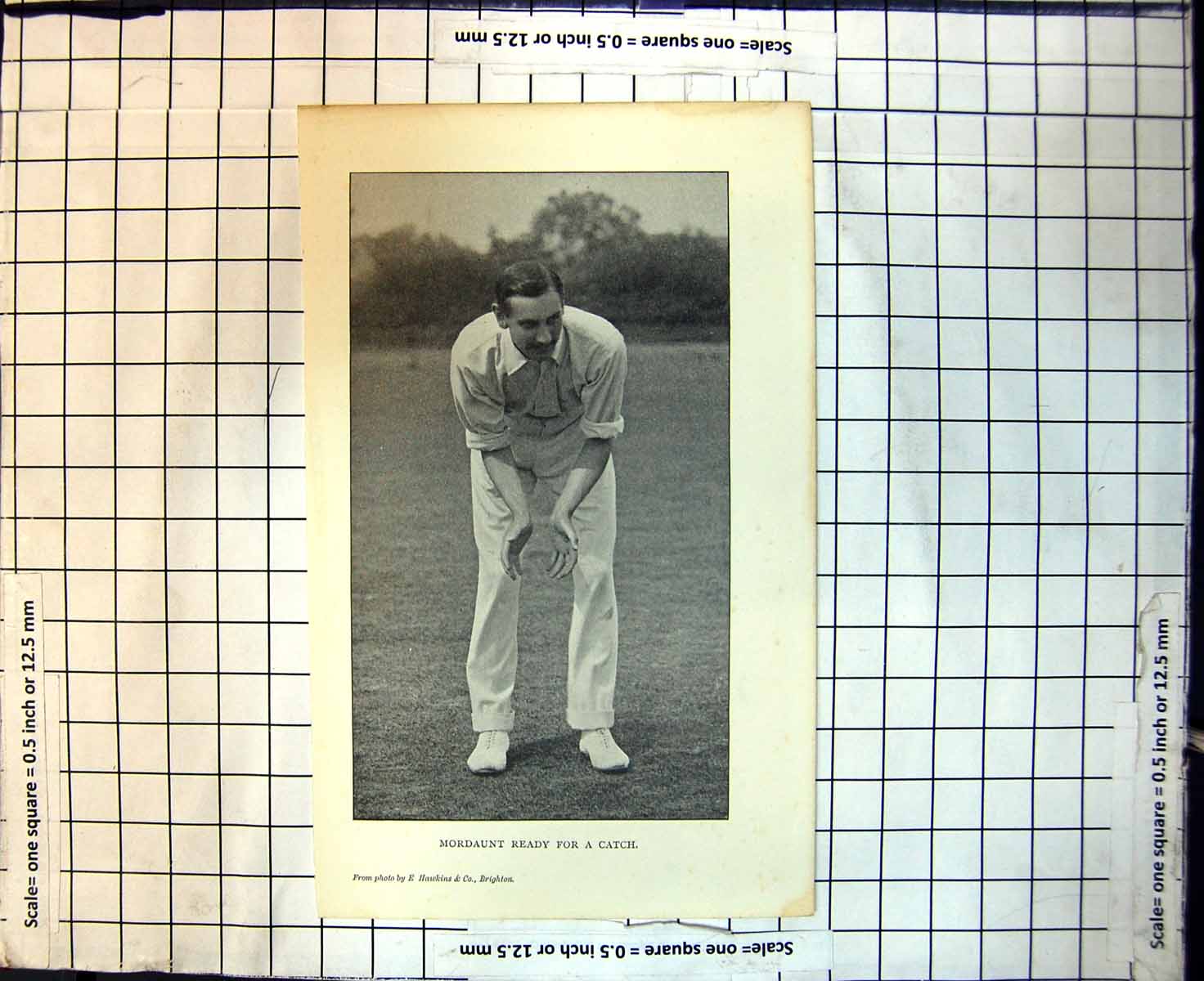 Original Old Antique Print Cricket Mordaunt Ready For A Catch