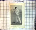 Original Old Antique Print Cricket W Marlow Throwing In The Ball Action1