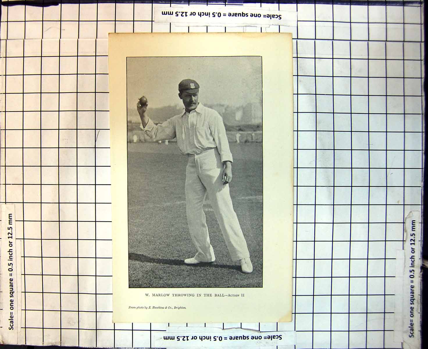 Original Old Antique Print Cricket W Marlow Throwing In The Ball Action1