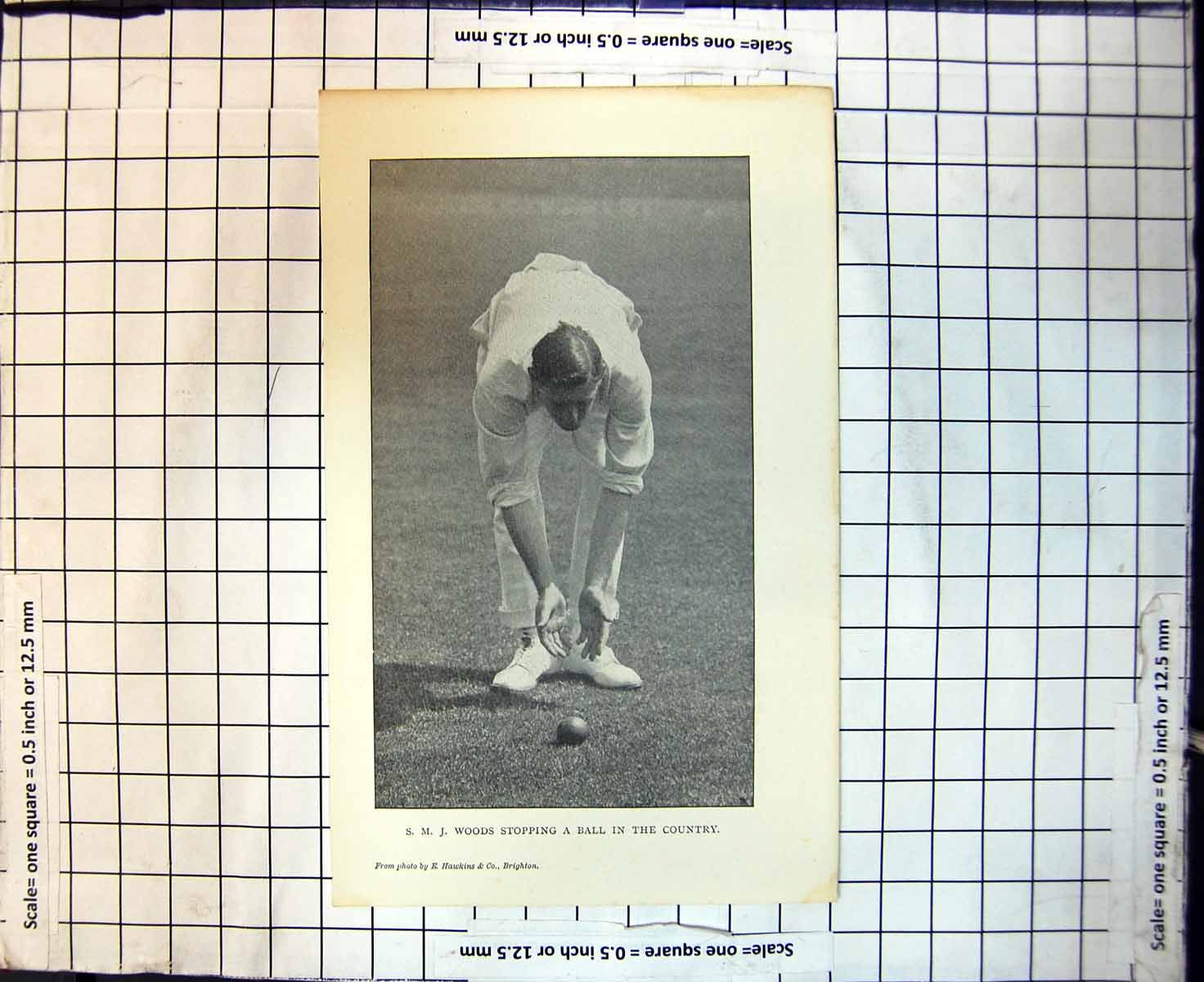 Original Old Antique Print Cricket S M J Woods Stopping A Ball In The Country
