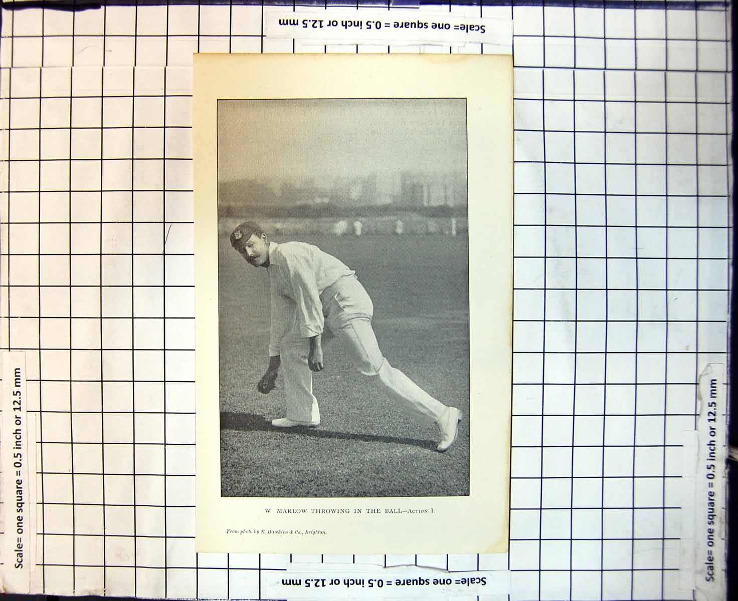 Original Old Antique Print Cricket W Marlow Throwing In The Ball Action1
