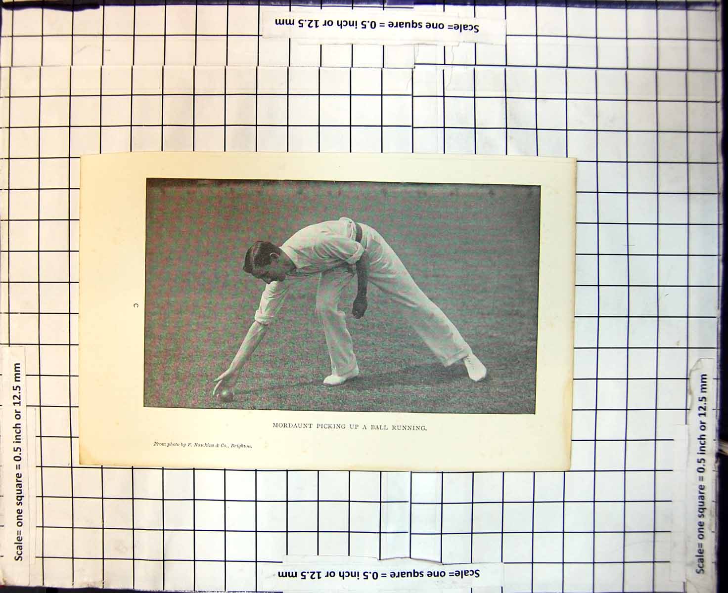Original Old Antique Print Cricket Mordaunt Picking Up A Ball Running
