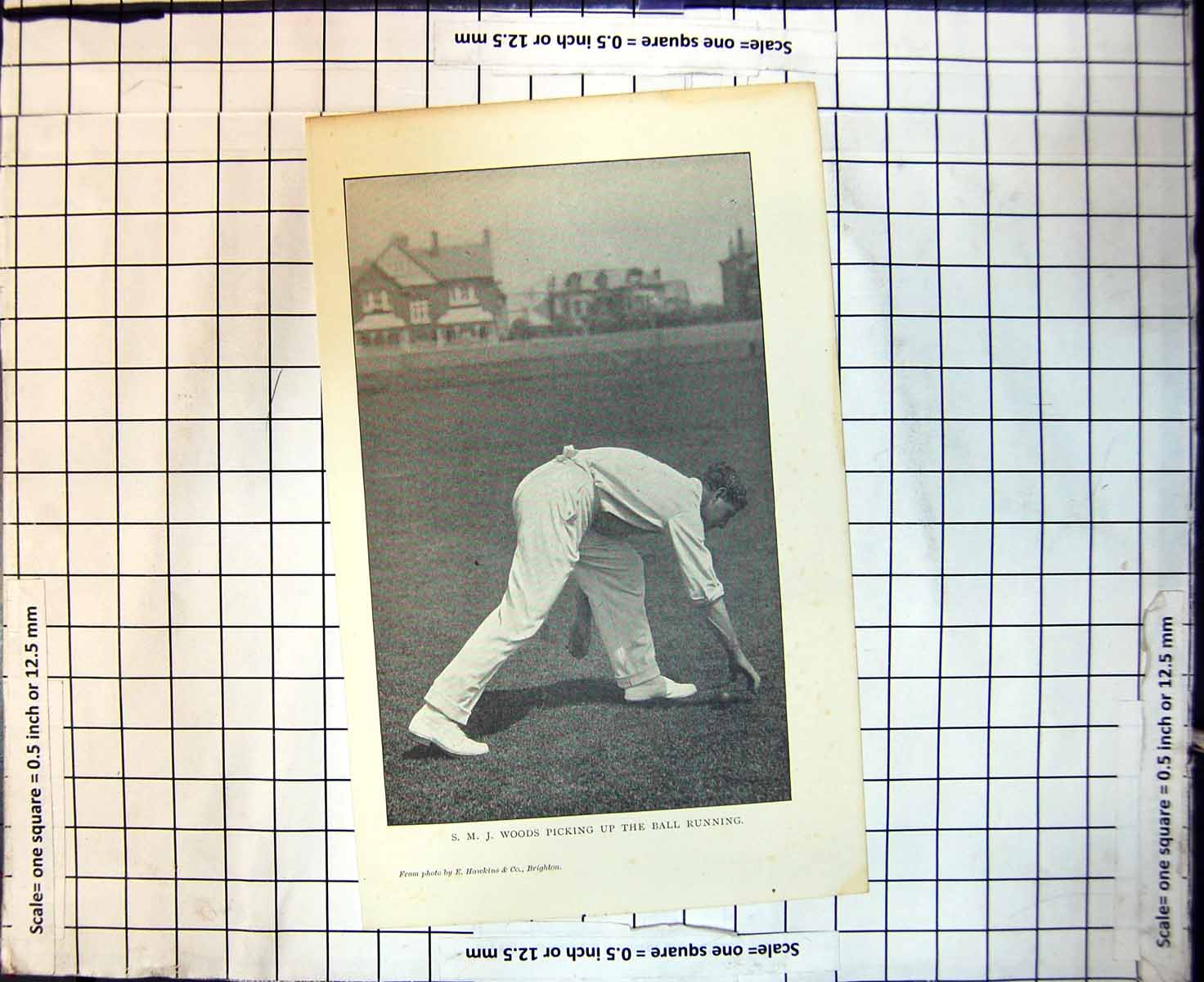 Original Old Antique Print Cricket S M J Woods Picking Up The Ball Running