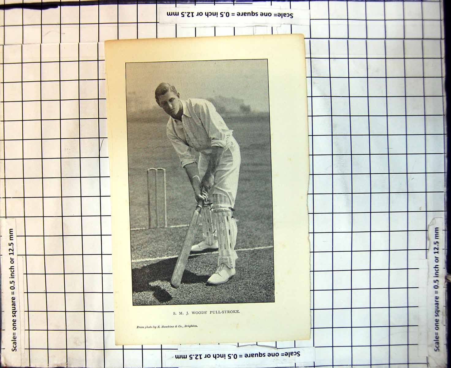 Original Old Antique Print Cricket S M J Woods Pull-Stroke