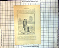 Old Gerfalcons Iceland Falcon 1876 John Barr Sent Norwayobtain Falcons 19th