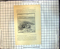 Original Old Antique Print Passage Hawks Under Bow Net