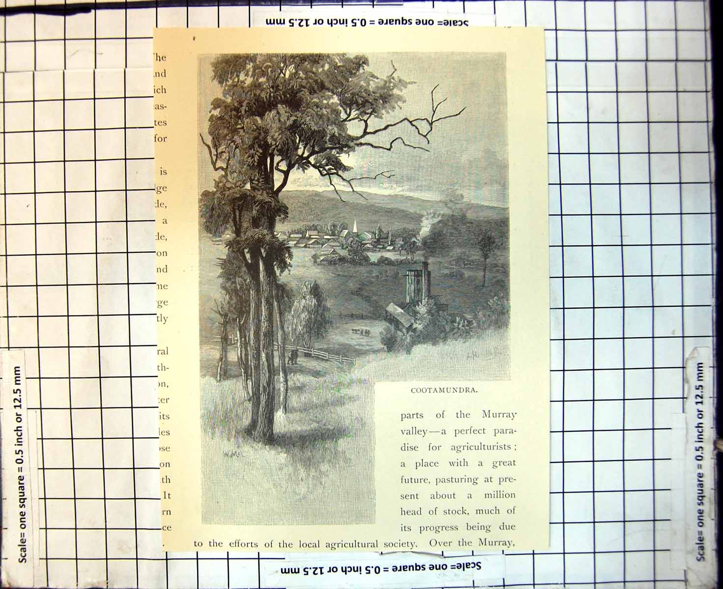 Original Old Antique Print Cootamundra Town New South Wales 1886Victorian