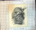 Original Old Antique Print Swans Lake Parrot Bird Branch Tree Fish 1886 19th