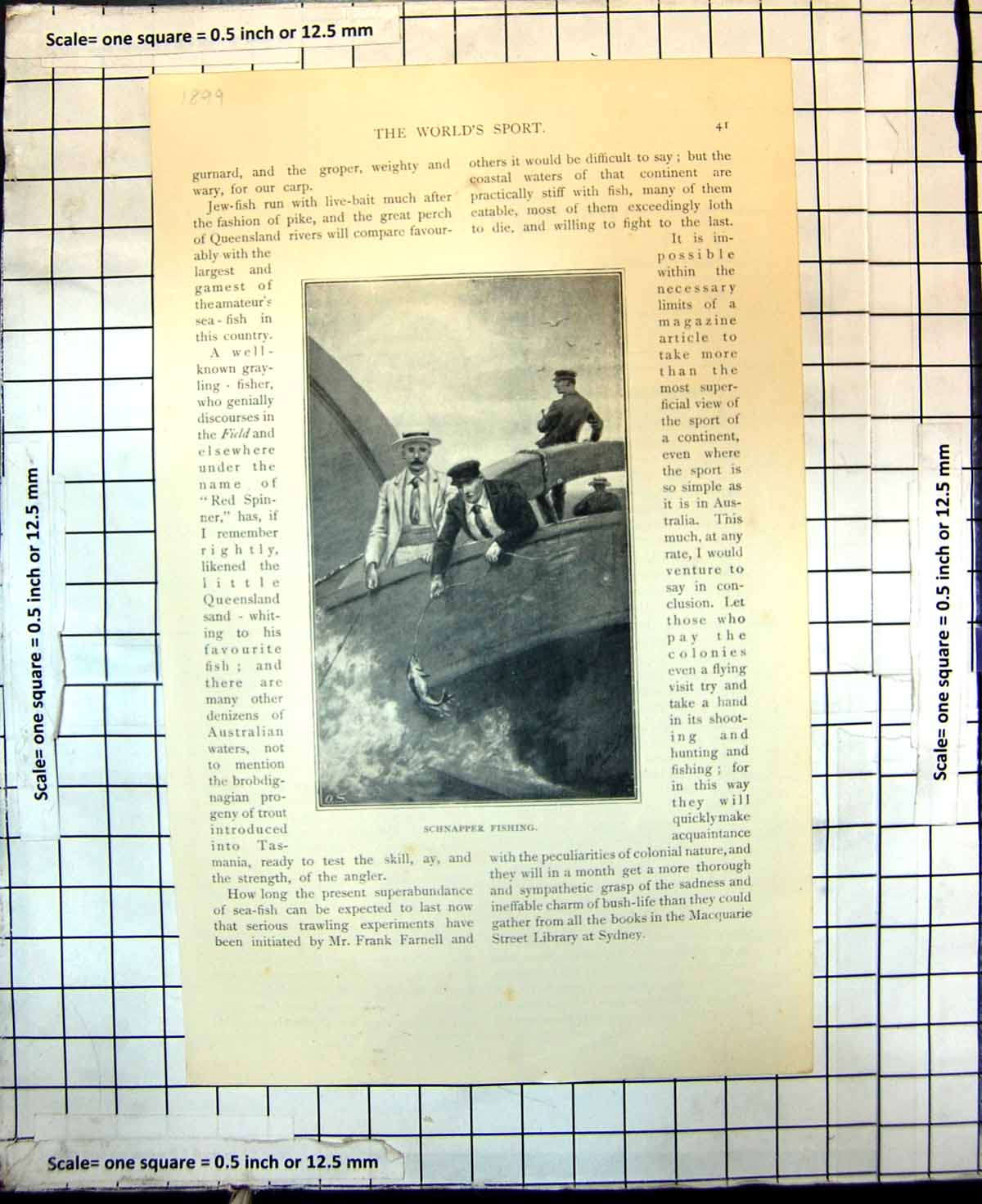 Original Old Antique Print Schnapper Fishing Pulling Fish Onto Boat 1899 19th