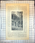 Original Old Antique Print Shooting Crested Pigeons In Australia 1899 19th