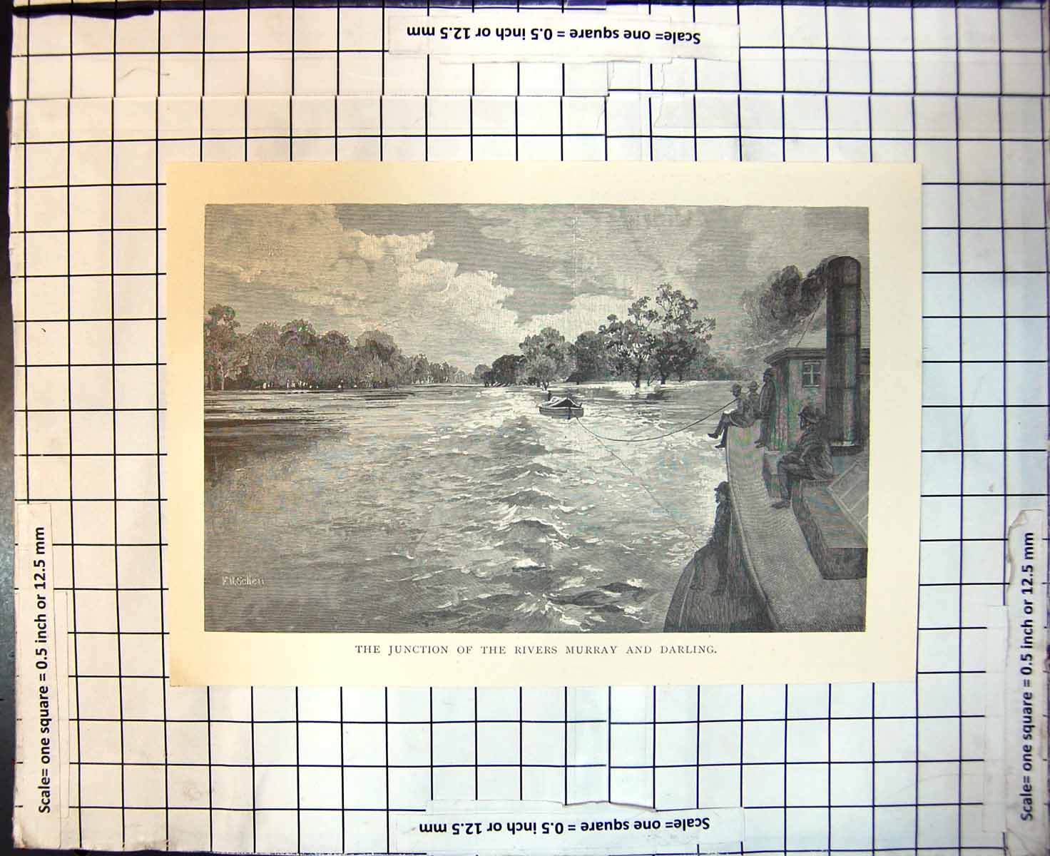 Antique Old Print Junction Rivers Murray And Darling Victoria Australia 1886