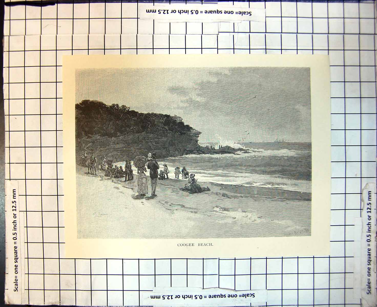 Original Old Antique Print Coogee Beach Sydney Australia Bathers 1886 19th
