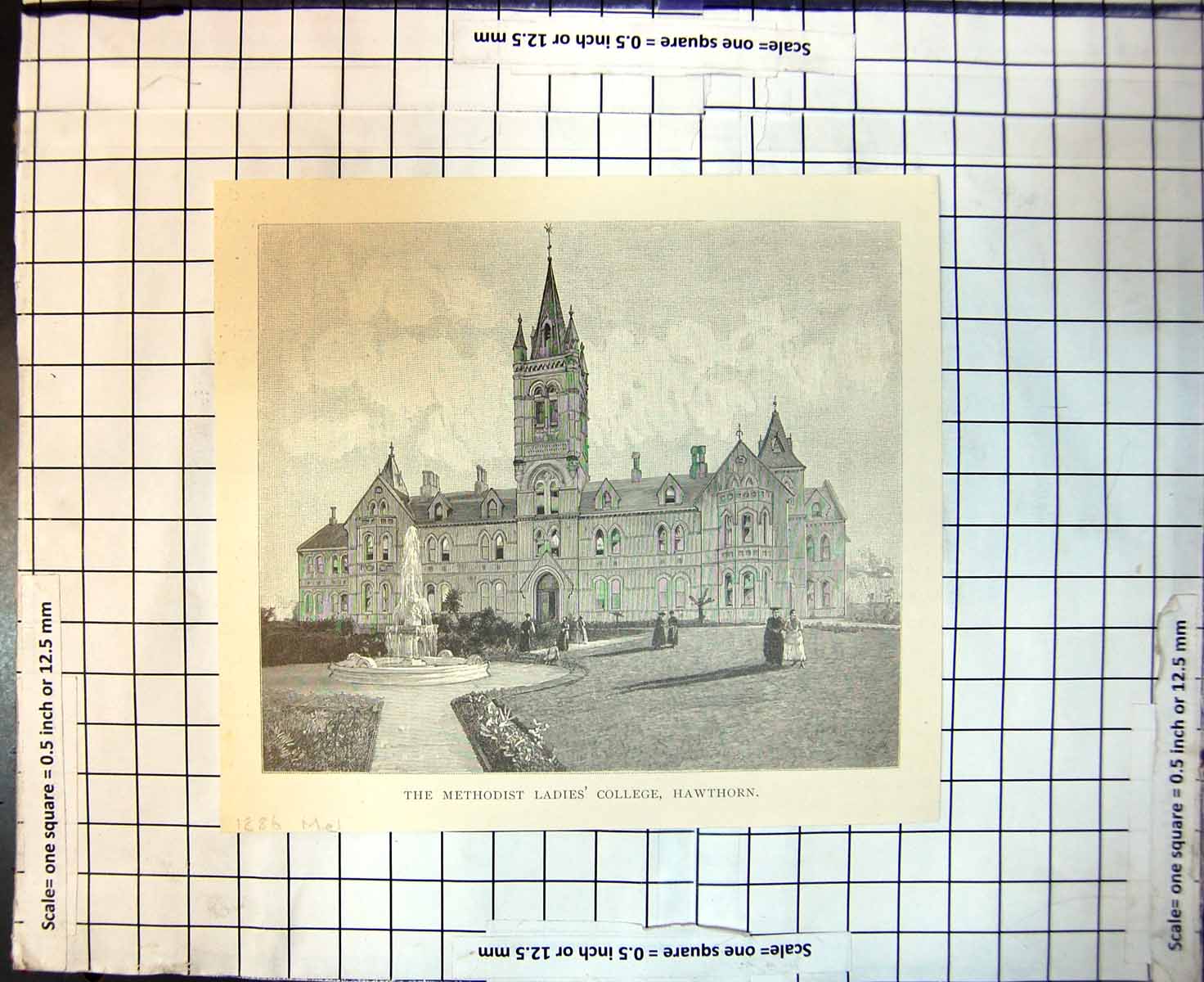 Antique Old Print Methodist Ladies College Hawthorn Melbourne Australia 1886