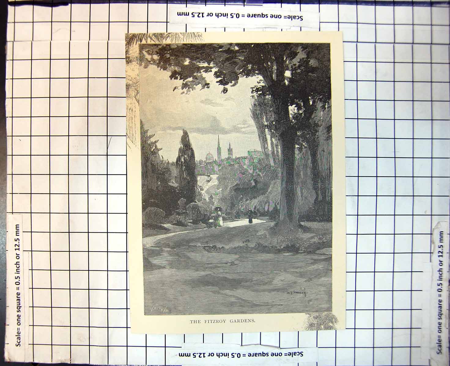 Original Old Antique Print Fitzroy Gardens Melbourne Australia 1886Victorian