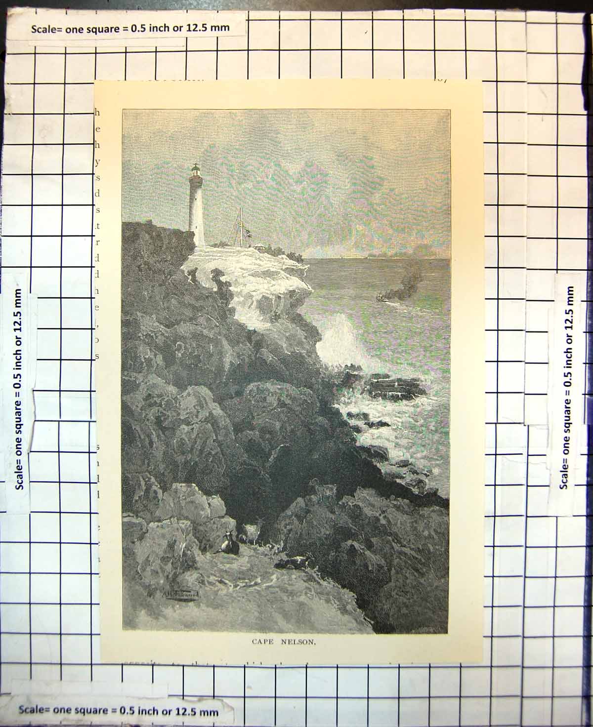 Old Antique Print Cape Nelson Rocks Lighthouse Victoria Australia 1886 19th