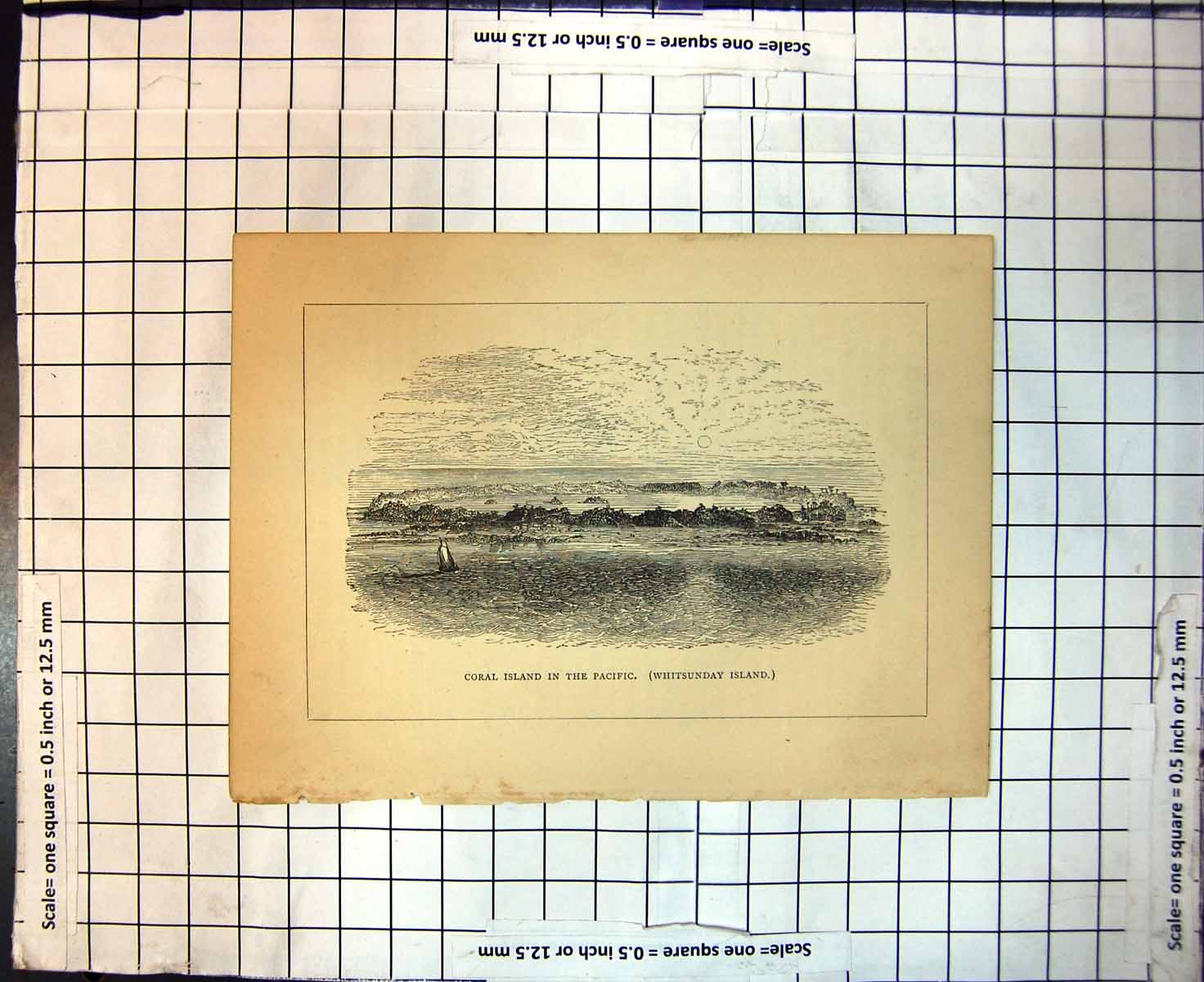 Original Old Antique Print Coral Island Pacific Whitsunday Island