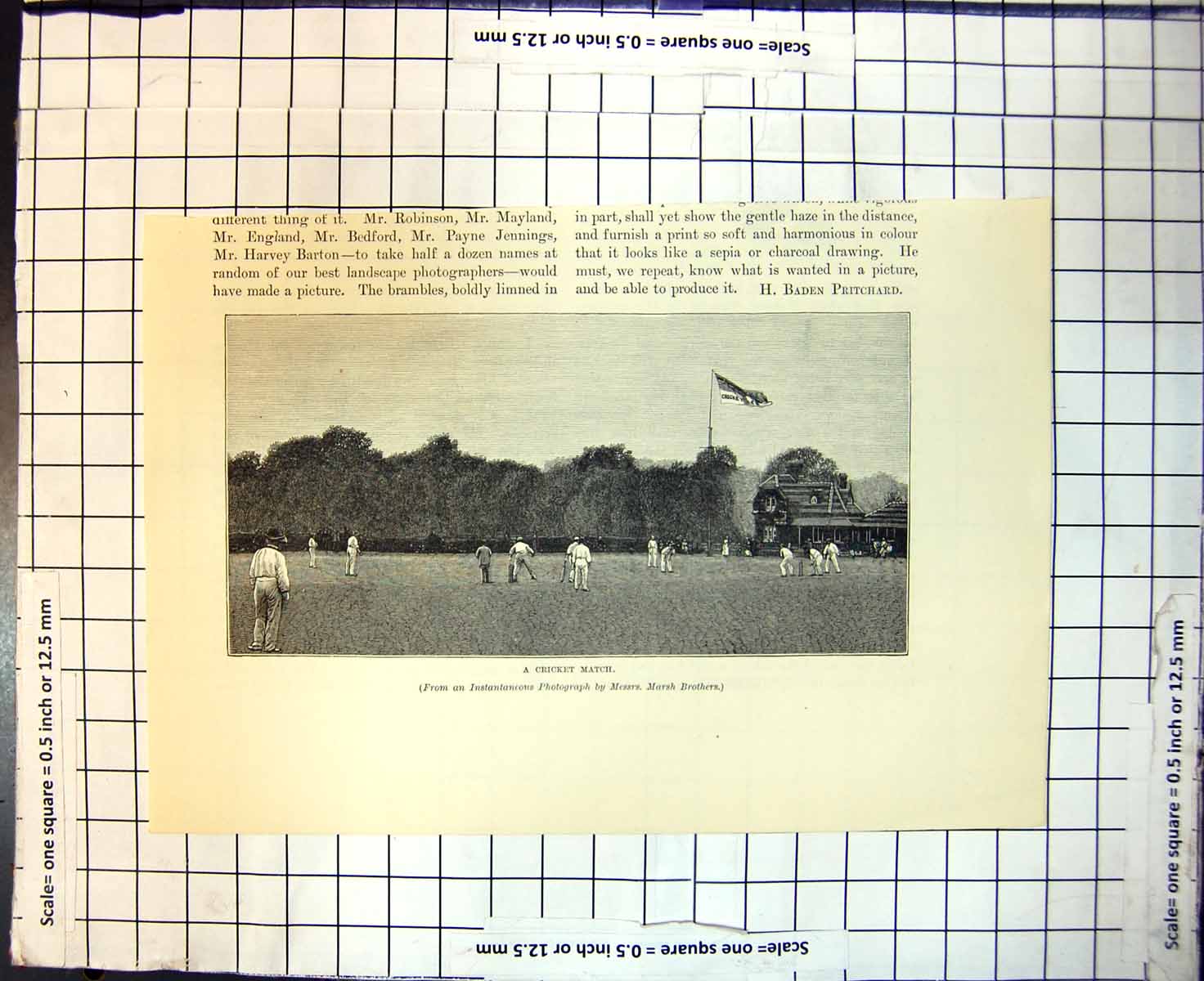 Antique Print Cricket Match Players Pitch Flag Flying Photo Marsh Brothers