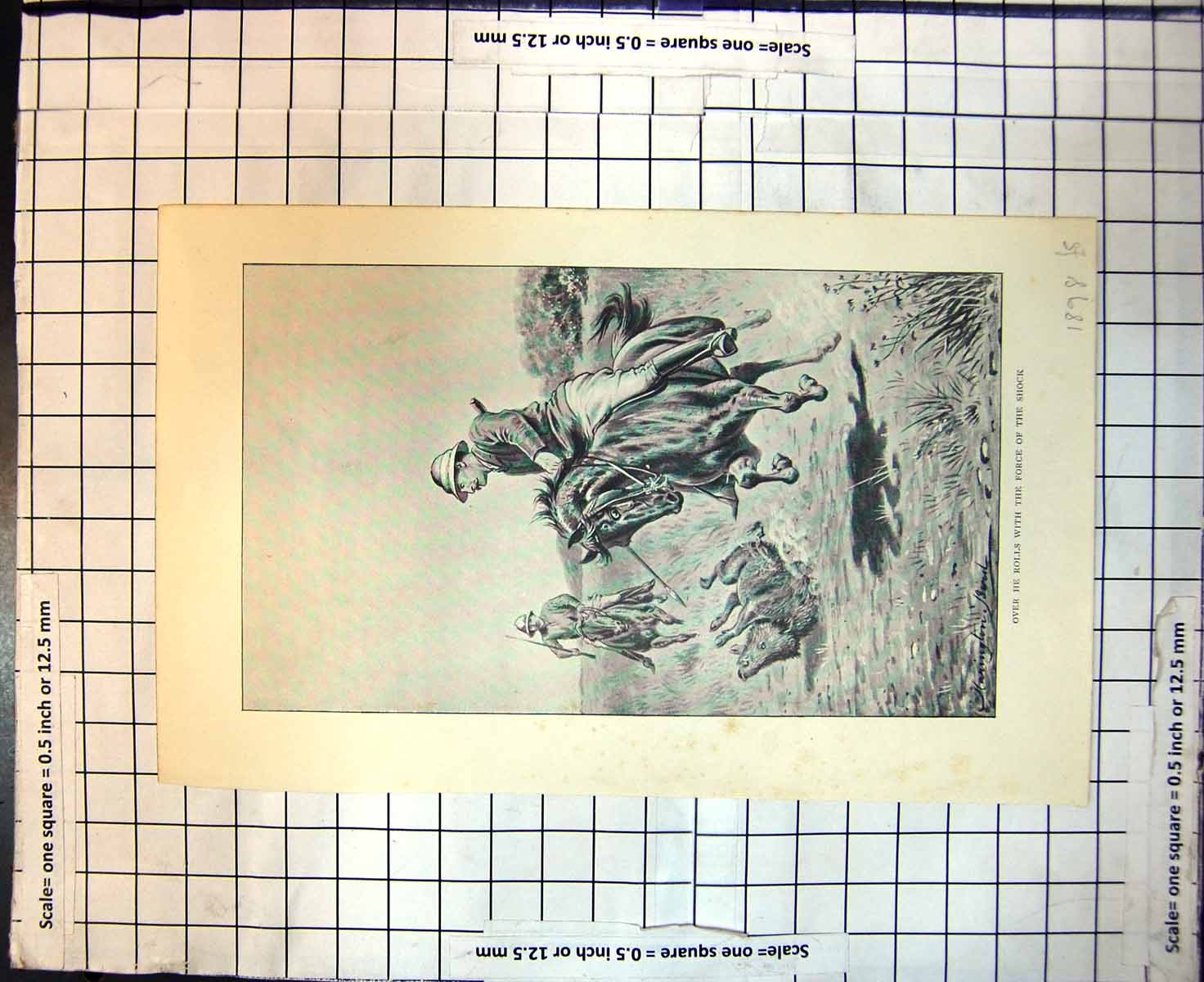 Old Print Over He Rolls With Force The Shock Pig Hunting Horseback 1898 19th