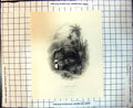 Original Old Antique Print The Missionarys Grave Marked Wooden Cross Natives