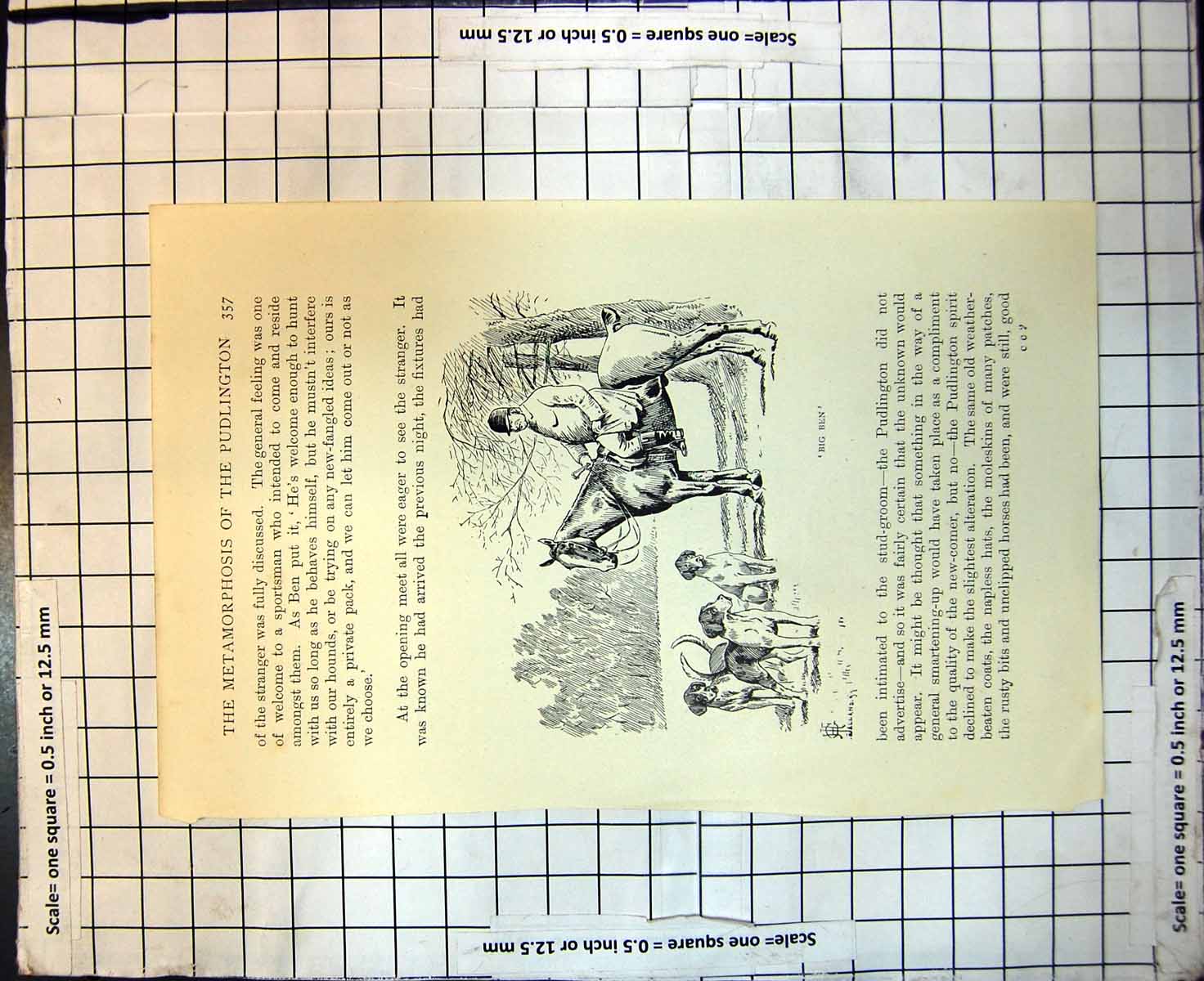 Old Antique Print Metamorphosis Pudlington Big Ben Stout Man Horse Hunt