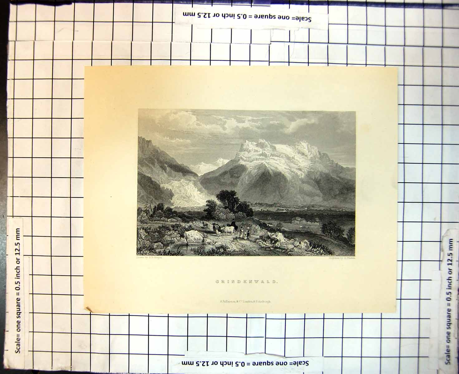 Old Antique Print Grindelwald Switzerland Herding Cows Valley Mountains