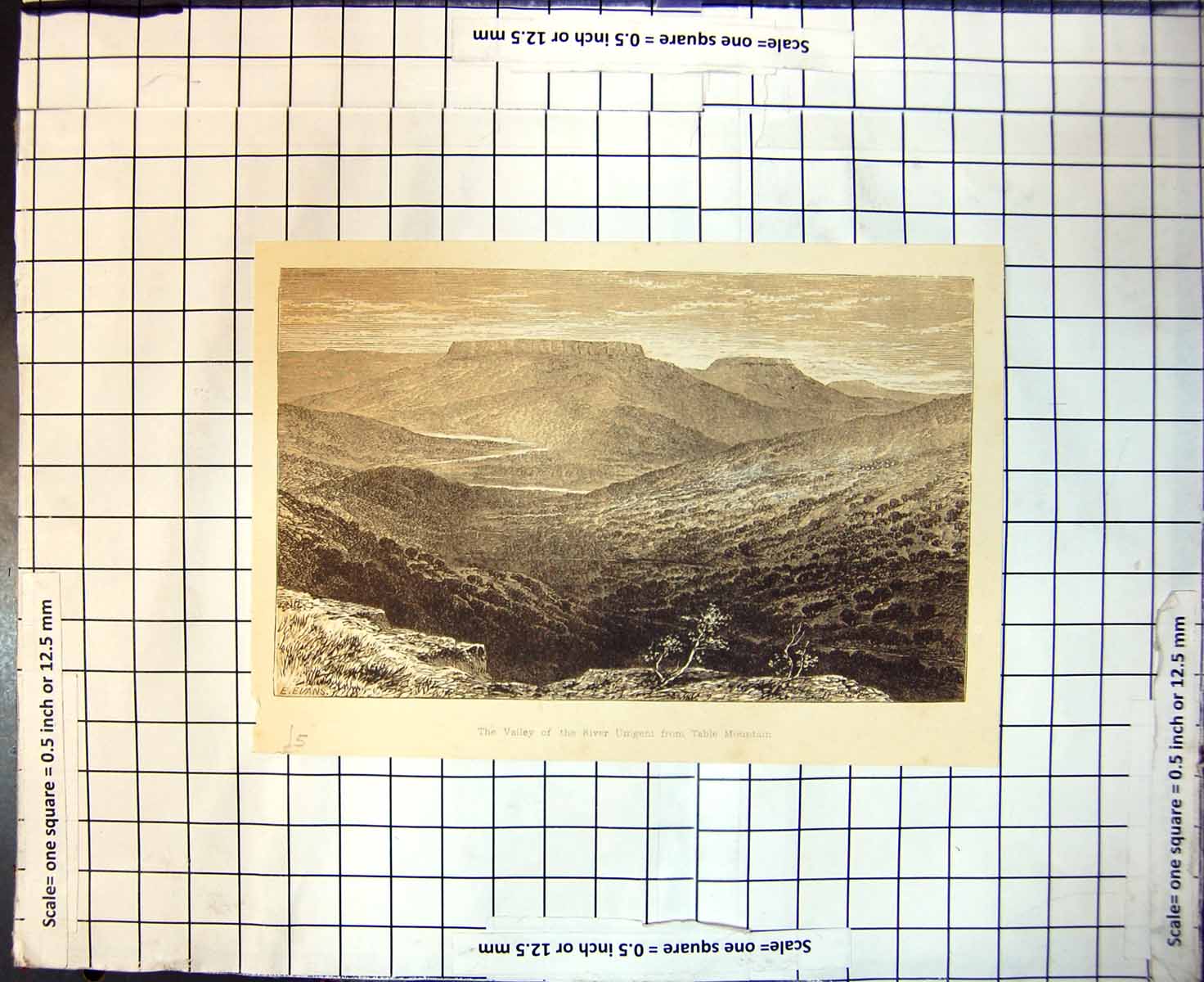 Original Old Antique Print Valley River Umgem From Table Mountain E Evans