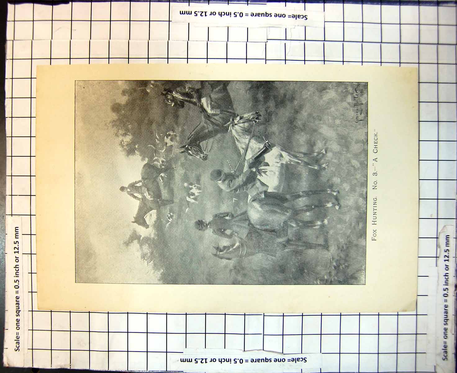 Antique Print Fox Hunting A Check Riders Horses Hounds George Roller 1894 19th