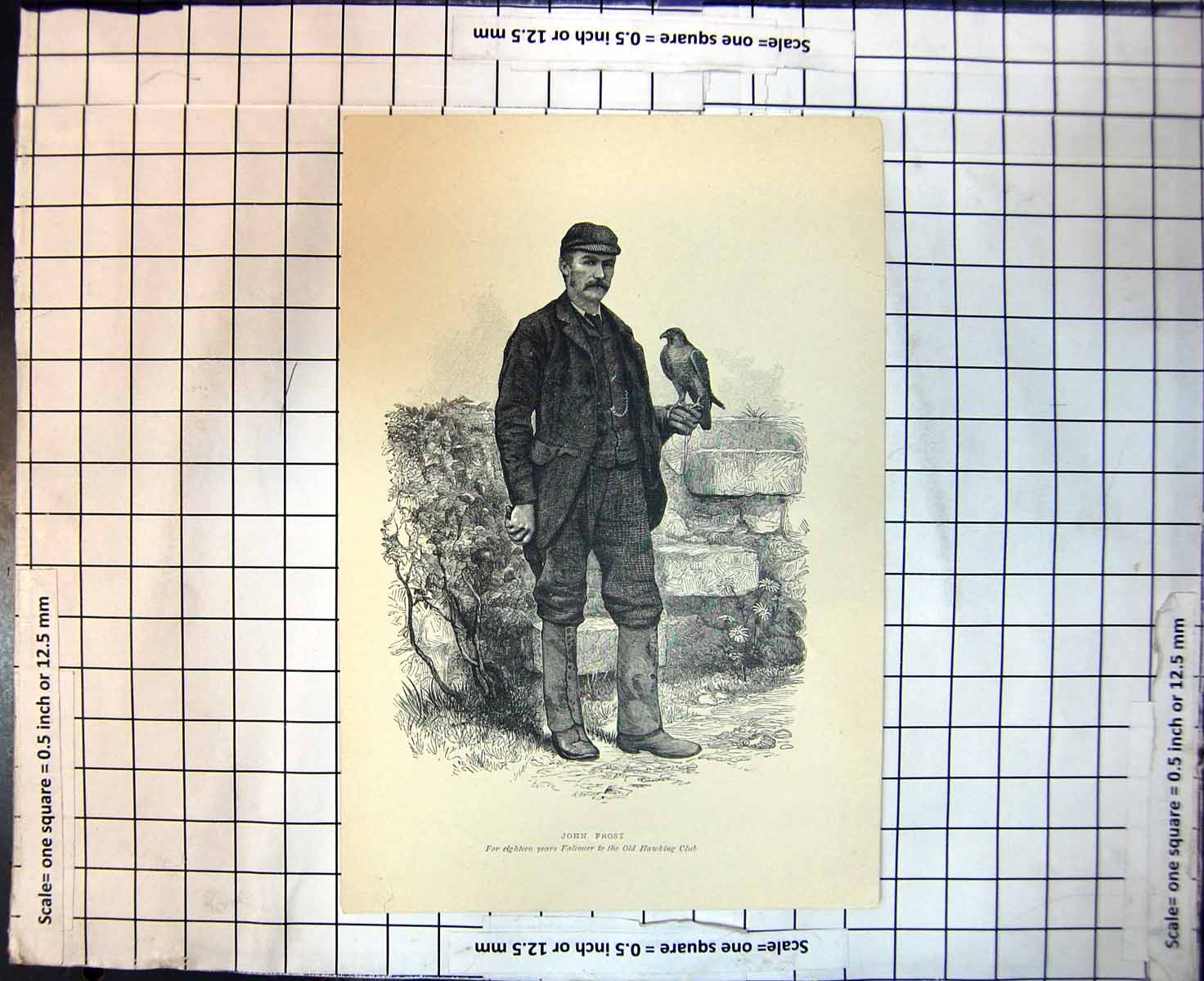 Original Old Antique Print John Frost For Eight Years Falconer Hawking Club