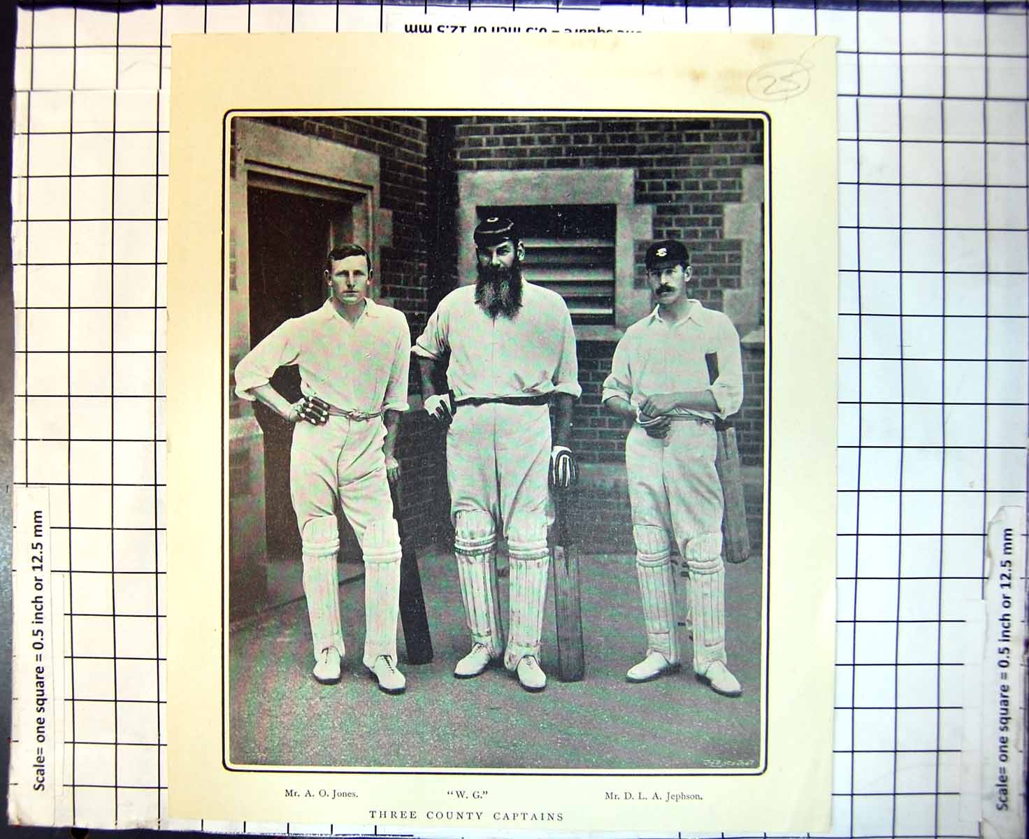 Old Three County Cricket Captains A O Jones D L A Jephson W G Grace