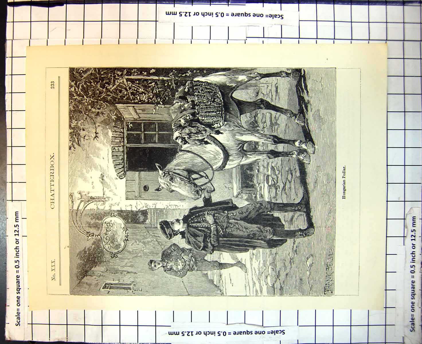 Antique Old Print Hungarian Pedlar Hing Horse Basket Back Frank Feller 1902