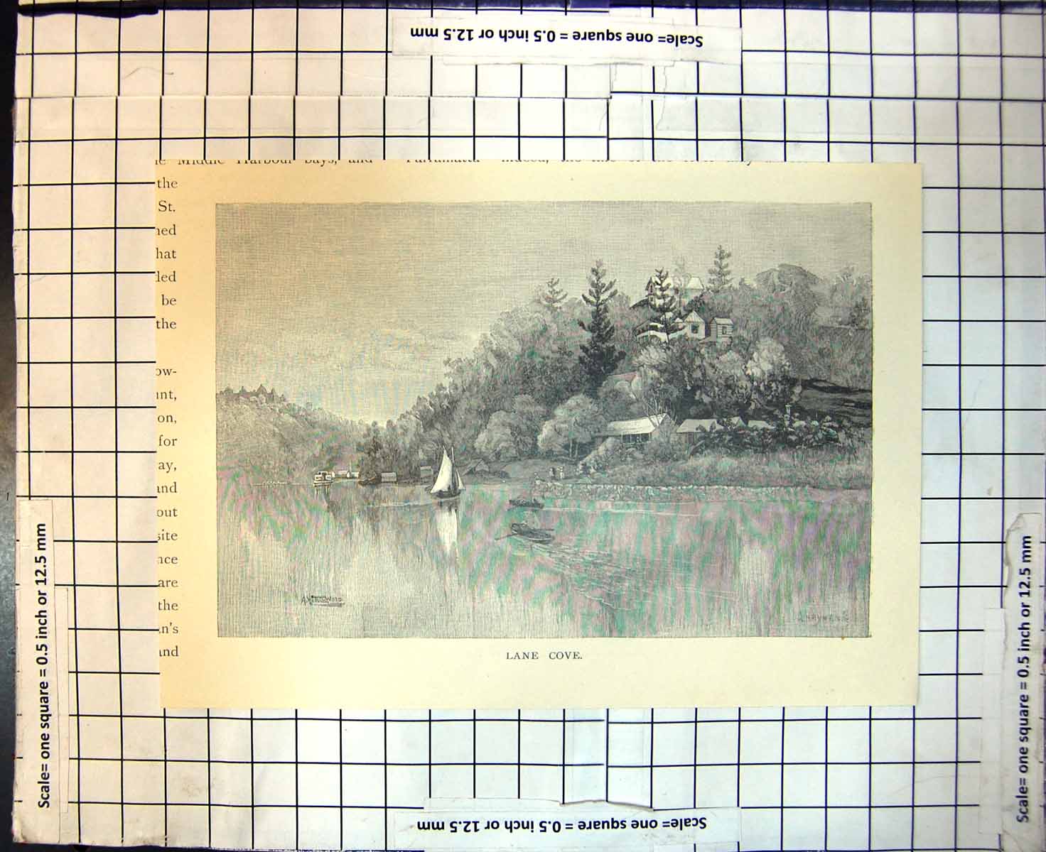 Original Old Antique Print Lane Cove Sydney Australia River Houses Yacht 1886