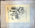 Old Print Comic Sketch Sassenach Shooting Tenant Monarch Glen Sportsman