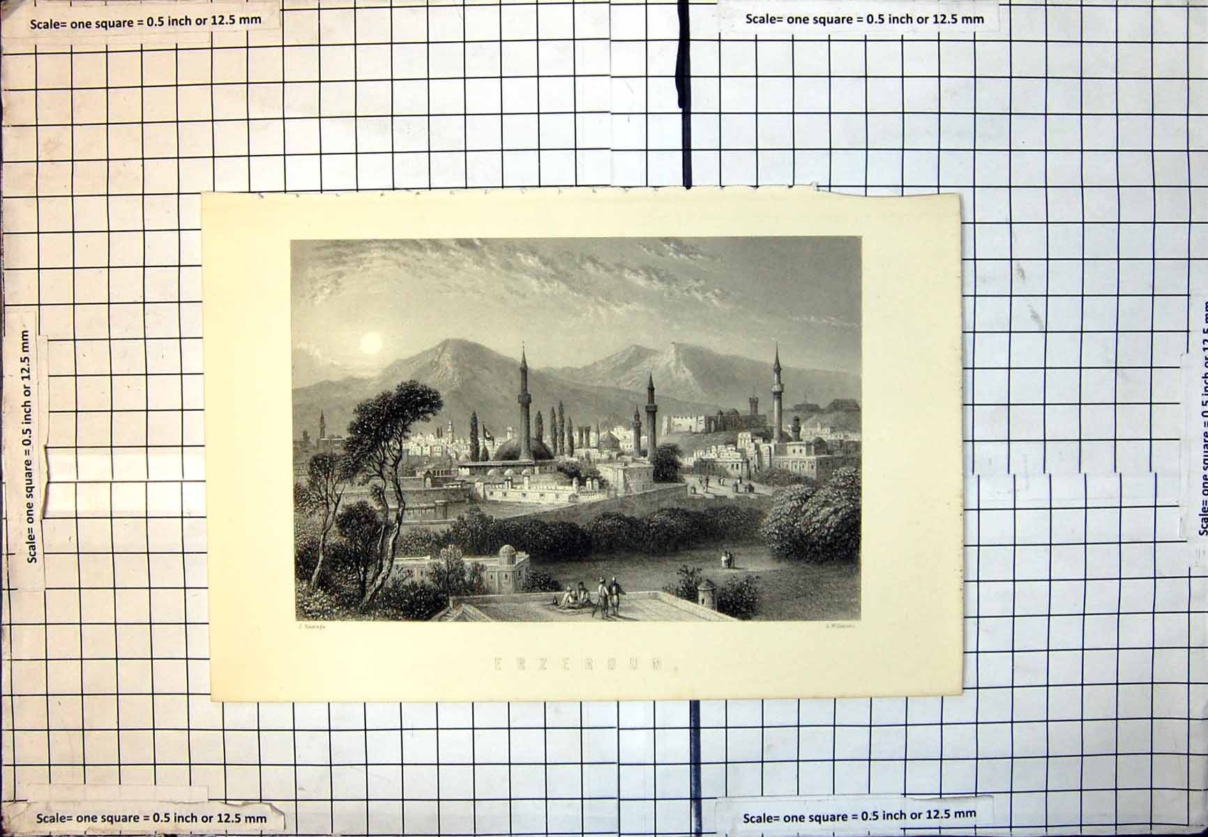 Old Print Erzeroum Towers Dome Flag Mountains Trees J. Ramage Bushes 116J
