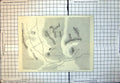 Old Print Rough Plan Battle Shangani Victoria Laager Salisbury Cattle Kraal 119J