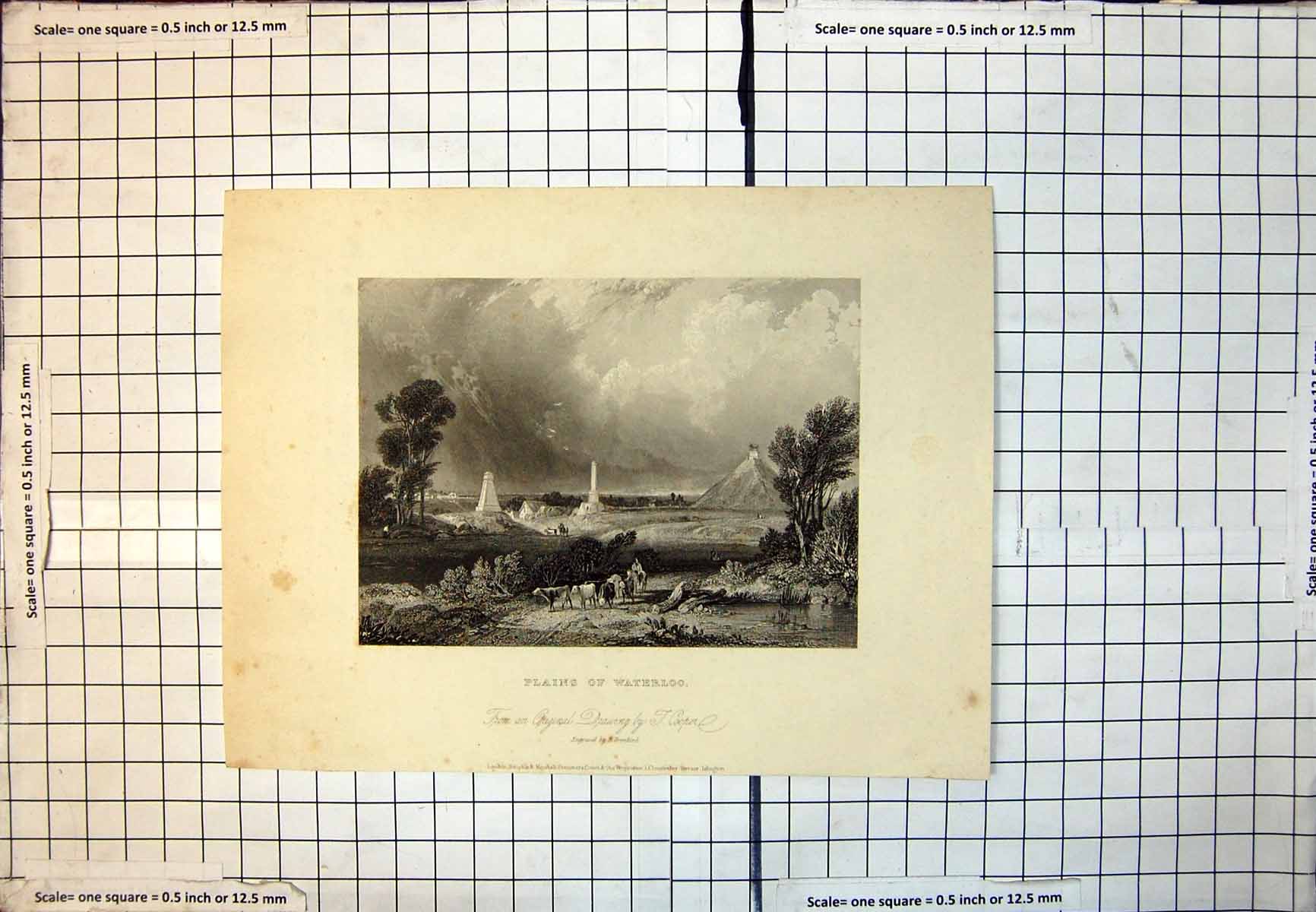 Old Print Plains Waterloo Monuments Hill Trees People Driving Cattle 137J